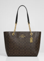 COACH LADIES BAGS (without box)